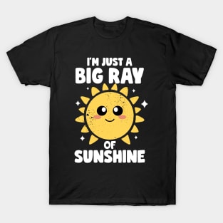 I'm Just A Big Ray Of Sunshine Kindness Irony And Sarcasm T-Shirt